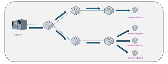 diagram-multicast-distribution-tree-and-o1-mechanism